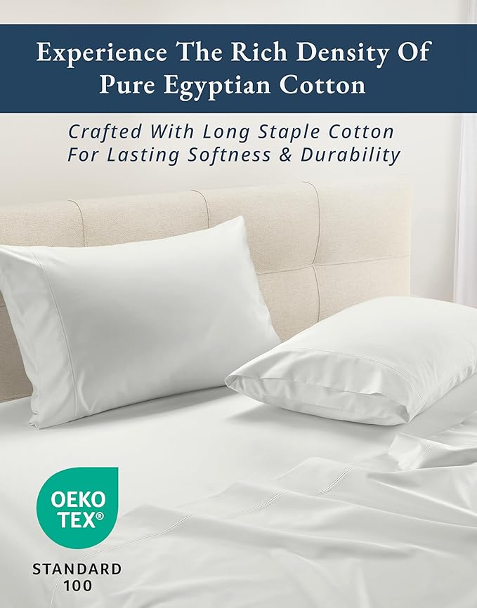 LANE LINEN 100% Egyptian Cotton Bed Sheets sábanas Queen, Soft & Comfy Luxury Hotel Like Thick Bedding Sheets & Pillowcase Set, Machine Wash Cooling 15'' Queen Deep Pocket Sheet Set - Vaporous Gray