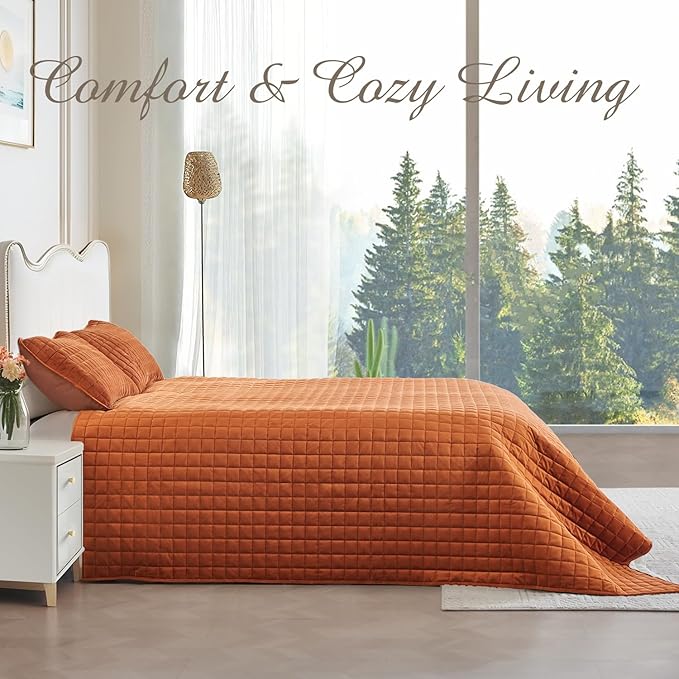 Luxury Velvet Quilt Set Queen Size, Comforter Set with Pillow Shams, Soft Lightweight Bedspread Coverlet Bedding Sets for All Seasons, Red Brown