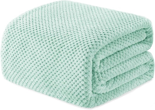 Exclusivo Mezcla Fleece Bed Blanket Twin Size, Super Soft and Warm Blankets for Couch, Sofa and Bed Waffle Textured, Cozy, Fuzzy and Lightweight (Mint Green, 60x80 inches)