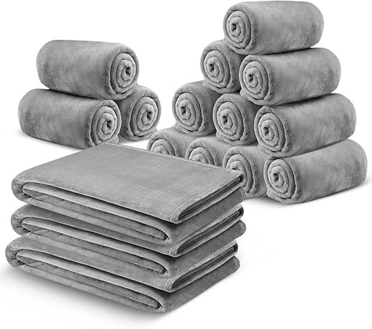 MOONLIGHT20015 Fleece Throw Blanket 16 Pack - Super Soft Cozy for Couch, Sofa and Camping Lightweight 400 GSM Luxury Fluffy Microfiber Bed Blankets 50 x 60 Inches (Throw/Travel, Silver)