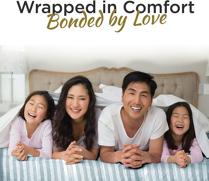 Twin XL 100% Microfiber Double Brushed Sheet Set - Extra-Soft & Wrinkle-Free - 15" Deep Pockets, 39" x 80" - Ideal for Dorms, Hospitals & Split King Beds - 3 PC Set (Twin XL, Silver Stripe)