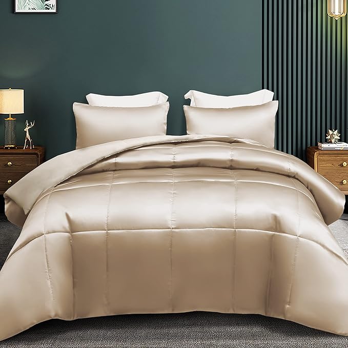 Whale Flotilla 2-Piece Reversible Silky Soft Twin Size Comforter Bedding Set, Luxurious Satin Comforters with Satin Pillowcase, Lightweight Duvet for All Seasons, Champagne
