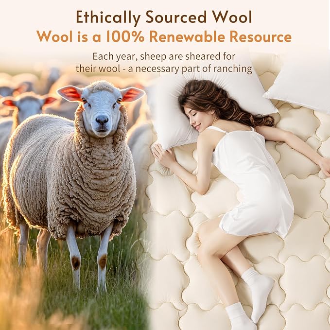 Luxury 100% Organic Wool Mattress Topper Made from Australian Merino,Extra Thick Pillow Top Mattress Pad with 100% Cotton Cover, Fuffy Mattress Cover (Beige, Queen(60"x80"))