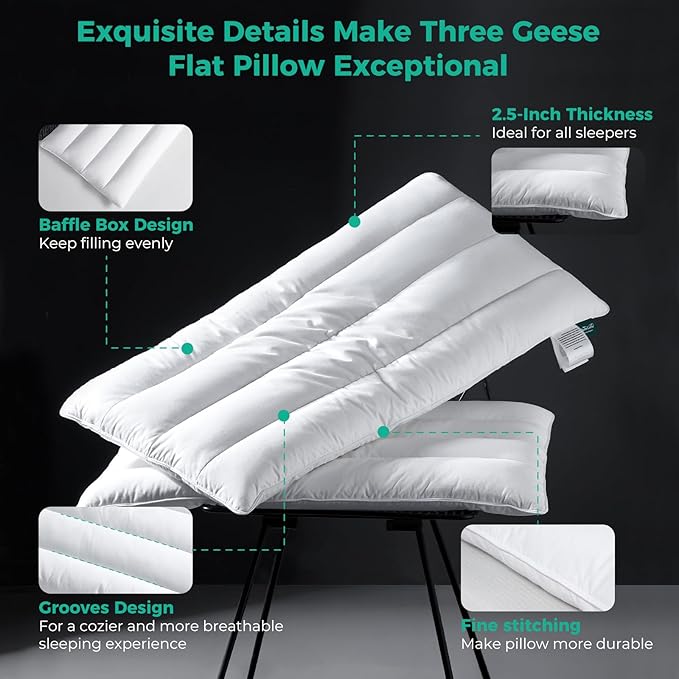 Three Geese Luxury Thin Flat Goose Feather Down Pillows King Size Set of 2, 2.5" Height, 100% Cotton Cover, Medium Firm Hotel Collection Ultra Slim Thin Bed Pillows, Machine Washable, 18 x 36 Inches