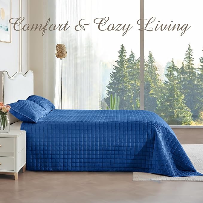 Luxury Velvet Quilt Set Queen Size, Comforter Set with Pillow Shams, Soft Lightweight Bedspread Coverlet Bedding Sets for All Seasons, Navy Blue