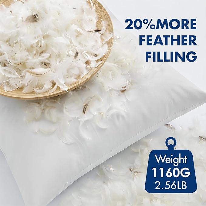 MIULEE Pack of 4 22x22 Pillow Inserts, Premium Feather and Down Decorative Throw Pillows, Fluffy and Choppable, Cotton Fabric for Sofa Bed Couch