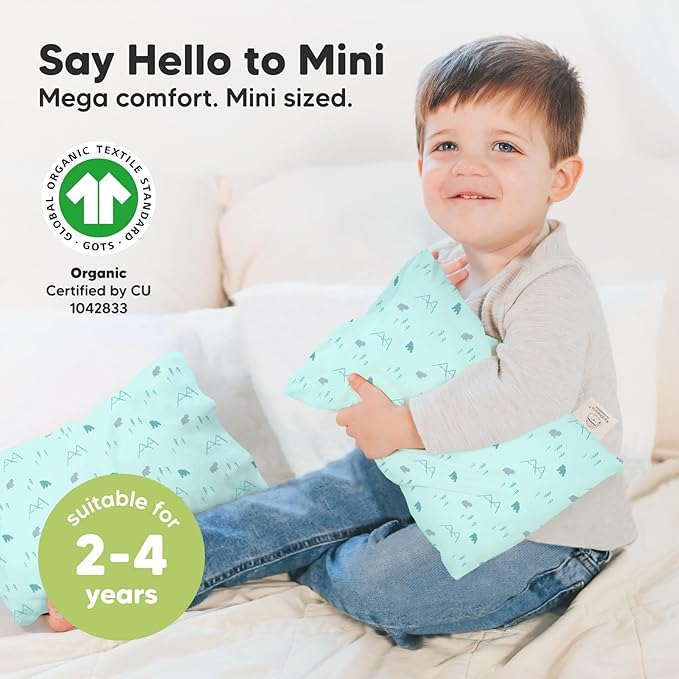 Mini Toddler Pillow with Pillowcase - 9x13 My Little Dreamy Travel Kids Pillow for Sleeping, Toddler Bed, Small, Tiny, Organic Cotton Pillowcase, Soft & Breathable, Kids 2-4 Years Old (Polar)