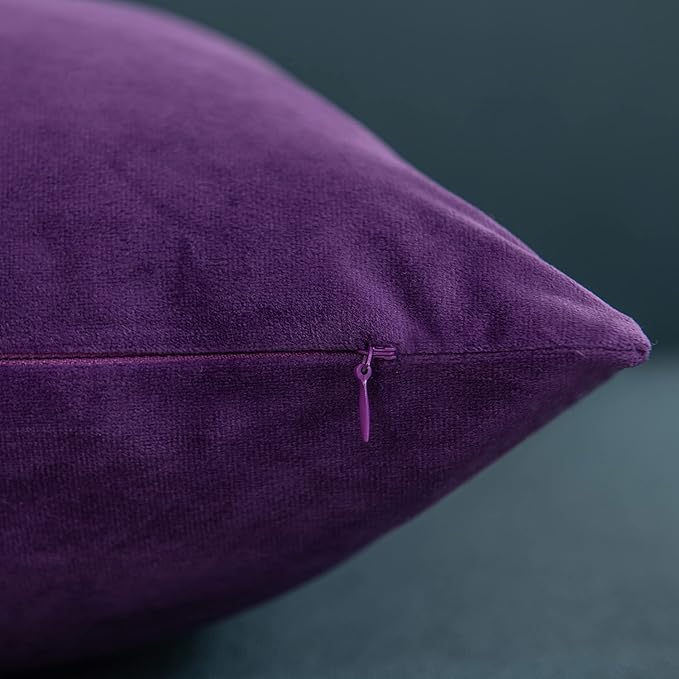 Throw Pillow Covers 22x22 Purple: Pack of 2 Cozy Soft Velvet Square Modern Luxury Decorative Throw Pillow Cases for Sofa Couch Living Room Bed Home Decor