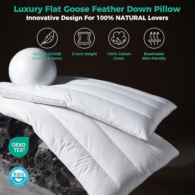 Three Geese Luxury Thin Flat Goose Feather Down Pillows King Size Set of 2, 2.5" Height, 100% Cotton Cover, Medium Firm Hotel Collection Ultra Slim Thin Bed Pillows, Machine Washable, 18 x 36 Inches