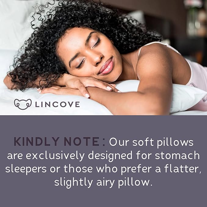 Lincove Signature 100% Natural Canadian White Down Luxury Sleeping Pillow - 800 Fill Power, 500 Thread Count Cotton Shell, Made in Canada, King - Soft, 2 Pack