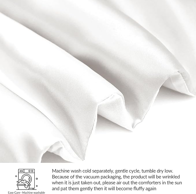 Whale Flotilla 2-Piece Reversible Silky Soft Twin Size Comforter Bedding Set, Luxurious Satin Comforters with Satin Pillowcase, Lightweight Duvet for All Seasons, White