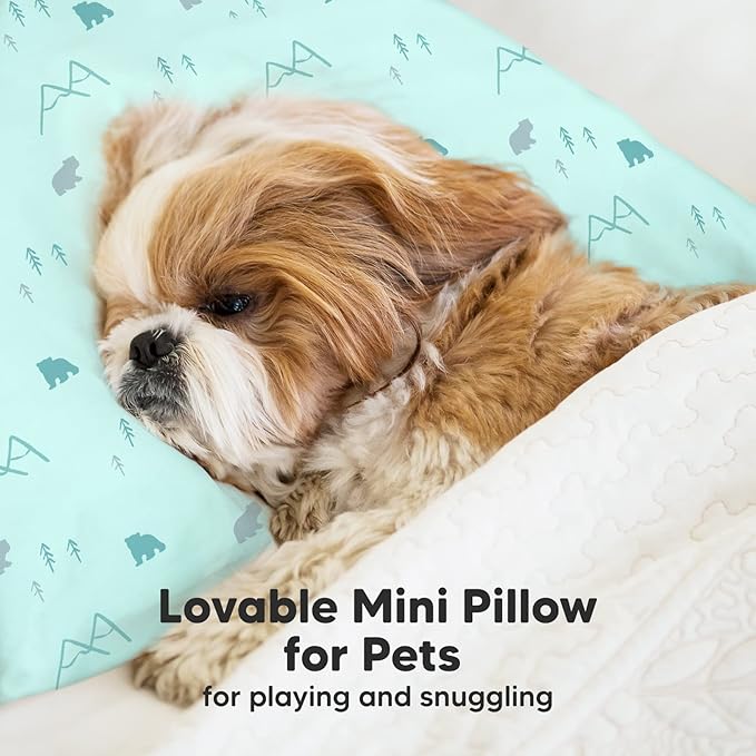 Mini Toddler Pillow with Pillowcase - 9x13 My Little Dreamy Travel Kids Pillow for Sleeping, Toddler Bed, Small, Tiny, Organic Cotton Pillowcase, Soft & Breathable, Kids 2-4 Years Old (Polar)