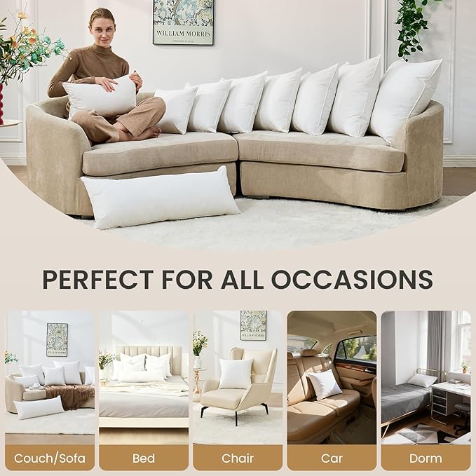 BHZ Euro Throw Pillow Inserts, 16x16 Down Feather Alternative Pillow Inserts Set of 2, Decorative Soft Large Square White Throw Pillows Insert for Couch Bed Dorm Sofa with Breathable Cover