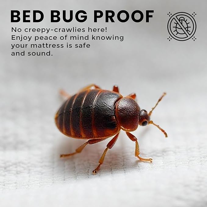 Utopia Bedding Premium Waterproof Bed Bug Mattress Cover, Queen Zippered Mattress Protector, 10 Inches Deep, Dust Mite Proof 6-Sided Mattress Encasement for Bed (Pack of 10)