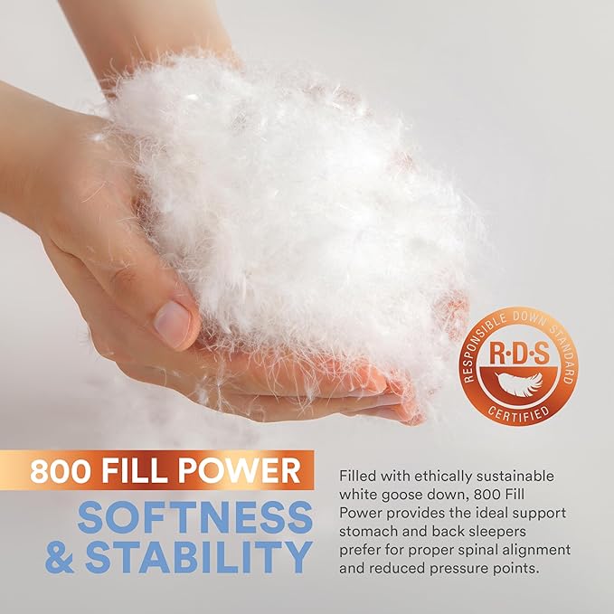 Continental Bedding Siberian Goose Down Pillow 800 Fill Power White Goose Down 400 Thread Count 100% Cotton Shell Soft Medium Firm Loft Options Handcrafted in USA