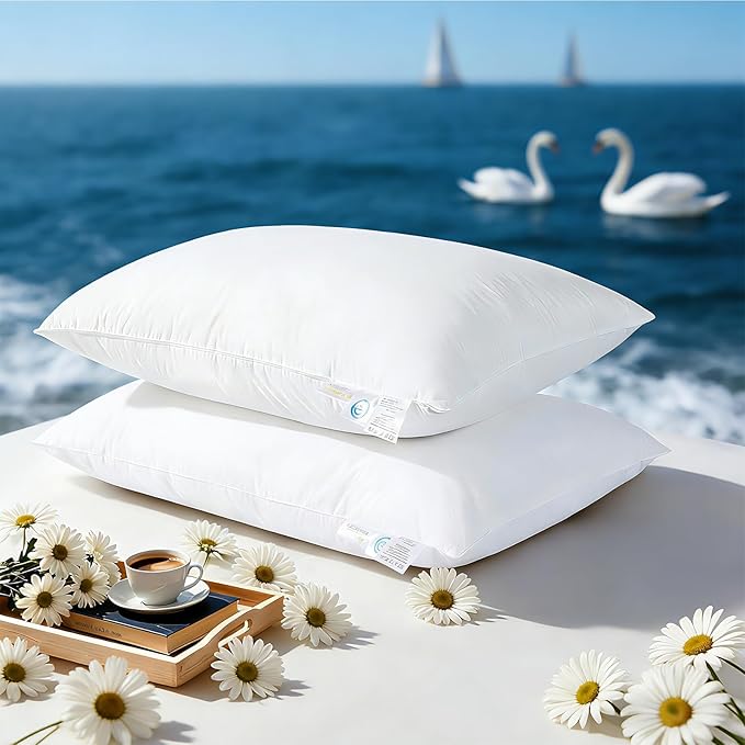 Luxury Goose Feather Down Pillow, 3-Chamber 5 Star Hotel Pillow for Deep Sleep, Soft Bed Pillows for Neck Pain Relief, Perfect for Side, Back Sleepers, 100% Cotton Shell (2 Pack,Queen(20"x30"))