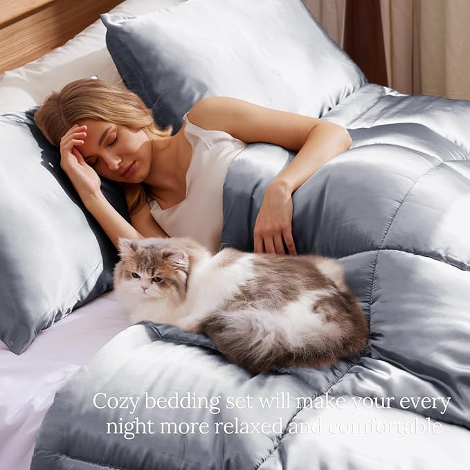 Whale Flotilla 2-Piece Reversible Silky Soft Twin Size Comforter Bedding Set, Luxurious Satin Comforters with Satin Pillowcase, Lightweight Duvet for All Seasons, Grey