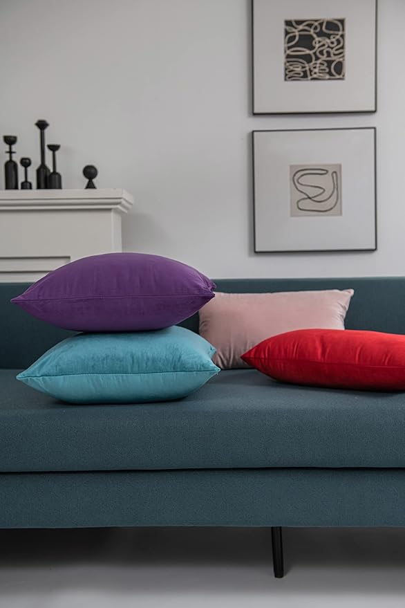 Throw Pillow Covers 22x22 Purple: Pack of 2 Cozy Soft Velvet Square Modern Luxury Decorative Throw Pillow Cases for Sofa Couch Living Room Bed Home Decor