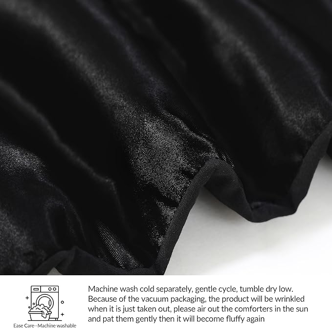 Whale Flotilla 2-Piece Reversible Silky Soft Twin Size Comforter Bedding Set, Luxurious Satin Comforters with Satin Pillowcase, Lightweight Duvet for All Seasons, Black