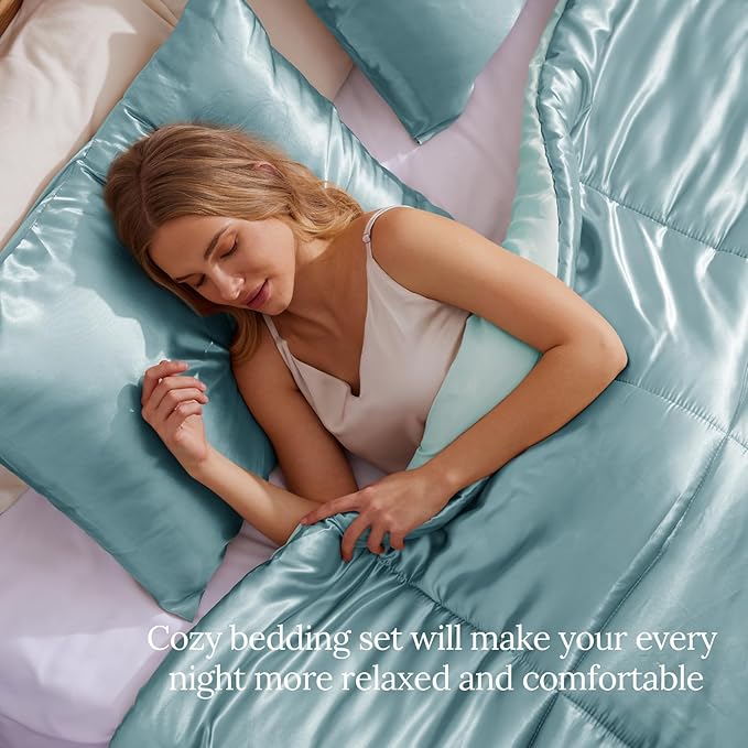Whale Flotilla 2-Piece Reversible Silky Soft Twin Size Comforter Bedding Set, Luxurious Satin Comforters with Satin Pillowcase, Lightweight Duvet for All Seasons, Haze Blue