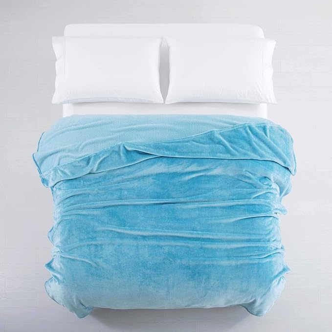 MOONLIGHT20015 Fleece Blanket - Super Soft Fuzzy Throw Blanket for Couch and Sofa - Lightweight Luxury 400 GSM Microfiber Fluffy Bed Blankets and Throws, 50 x 60 Inches (Throw/Travel, Light Blue)