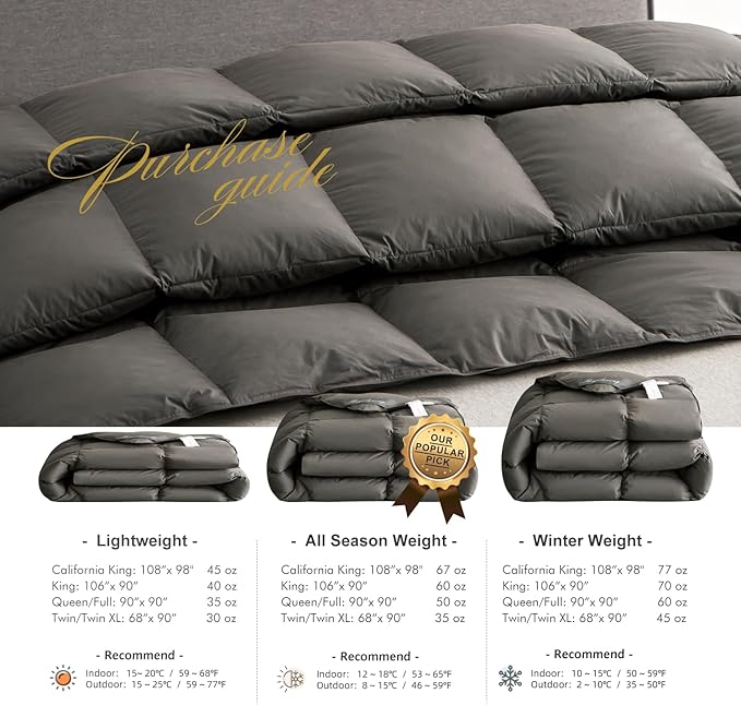 Royoliving Premium Feathers Down Duvet Insert Comforter King Size Charcoal Gray Heavyweight Thickened Winter Grey 100% Cotton Cover with Corner Tabs (106x90, 70 oz)