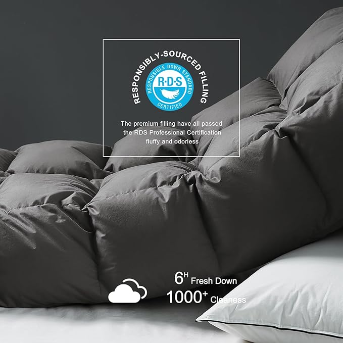 Royoliving Premium Feathers Down Duvet Insert Comforter King Size Charcoal Gray Heavyweight Thickened Winter Grey 100% Cotton Cover with Corner Tabs (106x90, 70 oz)