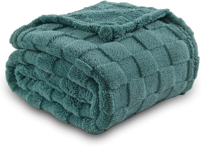NEWCOSPLAY Super Soft Queen Blanket Light Teal Premium Silky Flannel Fleece 3D Checkered Lightweight Bed Blanket All Season Use (Light Teal Checkered, Queen(90"x90"))