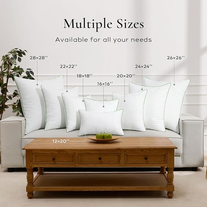 Ashler Home Deco 12x20 Pillows Insert (Set of 2) - Throw Pillow Inserts with 100% Cotton Cover - Lumbar Pillow Sofa Stuffer Pillow Inserts -Decorative White Couch Pillow