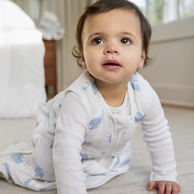 aden + anais Baby Sleeping Bag, Wearable Swaddle Blanket for Girls & Boys, Newborn Sleep Sack, Breathable & Lightweight