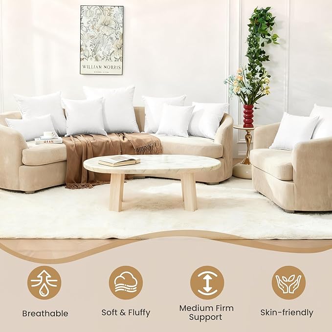 BHZ Euro Throw Pillow Inserts, 22x22 Down Feather Alternative Pillow Inserts Set of 2, Decorative Soft Large Square White Throw Pillows Insert for Couch Bed Dorm Sofa with Breathable Cover