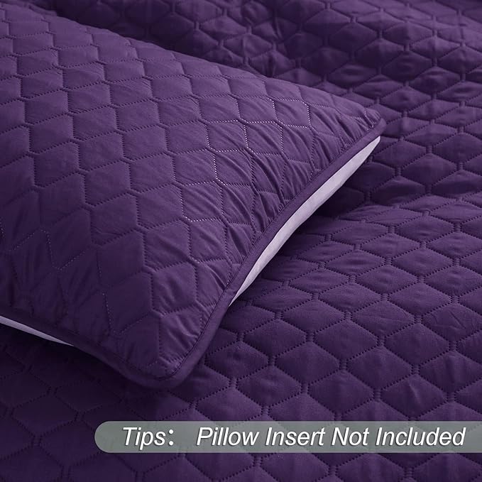 Exclusivo Mezcla Reversible Twin Quilt Bedding Set with Pillow Sham, Lightweight Quilts Twin Size, Soft Bedspreads Bed Coverlets for All Seasons - (Deep Purple, 68"x88")