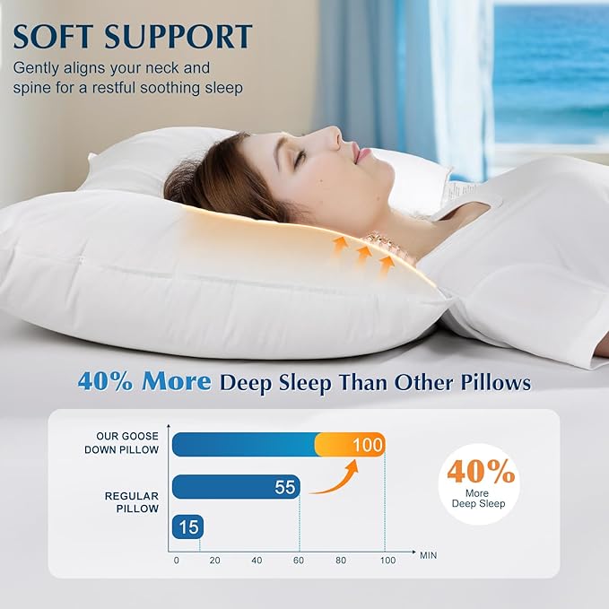 Luxury Goose Feather Down Pillow, 3-Chamber 5 Star Hotel Pillow for Deep Sleep, Soft Bed Pillows for Neck Pain Relief, Perfect for Side, Back Sleepers, 100% Cotton Shell (1 Pack,Queen(20"x30"))