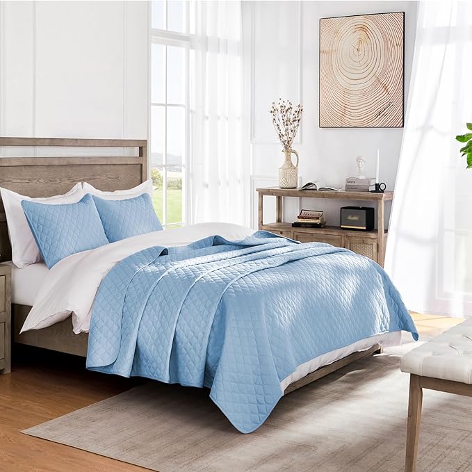 Exclusivo Mezcla Reversible Full Queen Quilt Bedding Set with Pillow Shams, Lightweight Quilts Queen Size, Soft Bedspreads Bed Coverlets for All Seasons - (Sky Blue, 90"x96")