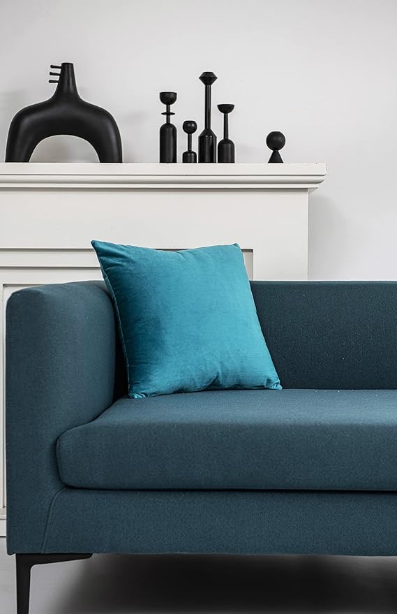 Throw Pillow Covers 22x22 Turquoise: Pack of 2 Cozy Soft Velvet Square Modern Luxury Decorative Throw Pillow Cases for Sofa Couch Living Room Bed Home Decor