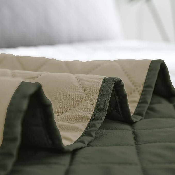 Easy-Going Queen Plus Size Reversible Quilt Set with 1 Quilt and 2 Pillow Shams, Soft Bed Quilt Cover, Water Resistant Lightweight Microfiber Bedspread, Stain Resistant, Army Green/Beige