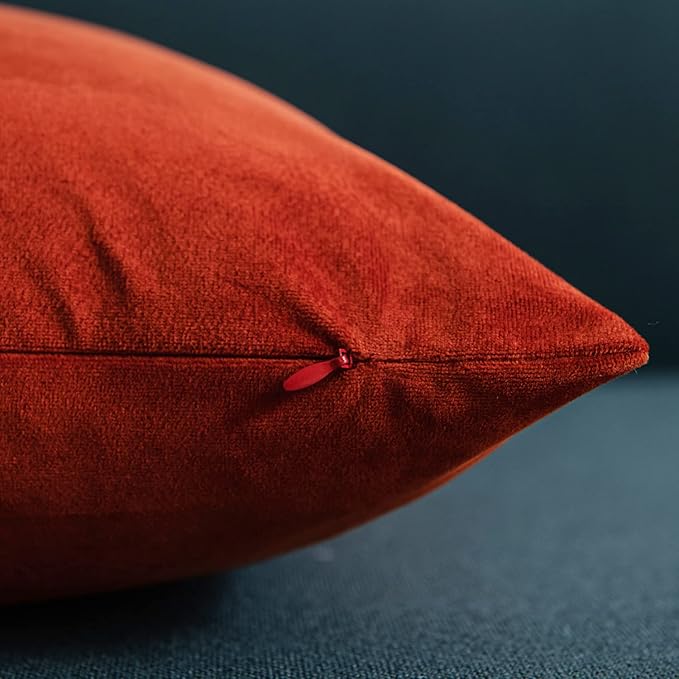 Throw Pillow Covers 18x18 Burnt Orange: Pack of 2 Cozy Soft Velvet Square Modern Luxury Decorative Throw Pillow Cases for Sofa Couch Living Room Bed Home Decor