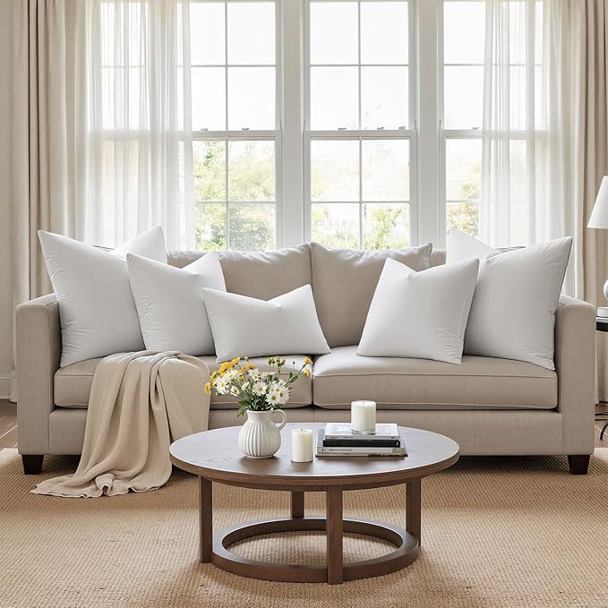 MIULEE Pack of 4 26x26 Euro Pillow Inserts, Premium Feather and Down Decorative Throw Pillows, Fluffy and Choppable, Cotton Fabric for Sofa Bed Couch