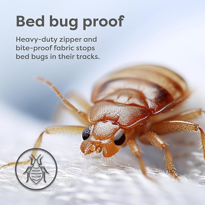 HOSPITOLOGY PRODUCTS Mattress Encasement - Zippered Bed Bug Dust Mite Proof Hypoallergenic - Sleep Defense System - Twin XL - Waterproof - Stretchable - Ultra Low Profile 6" Depth - 38" W x 80" L