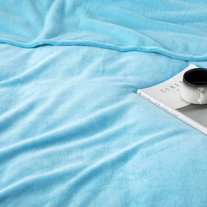 MOONLIGHT20015 Fleece Blanket Queen Size - Super Soft Fuzzy Light Blue Throw Blanket for Couch and Sofa - Lightweight Luxury 400 GSM Microfiber Fluffy Bed Blankets and Throws, 90 x 90 Inches (Queen)