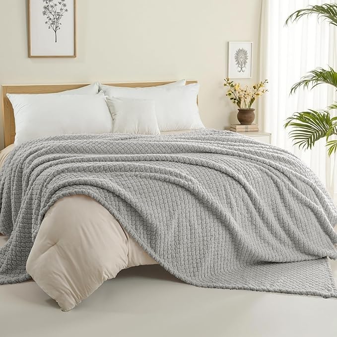 Exclusivo Mezcla Twin Size Fleece Blanket for Bed, Extra Soft Warm Decorative Fuzzy Blanket for Women, Lightweight Cozy Bedding Blankets, 60x80 Inches, Light Grey