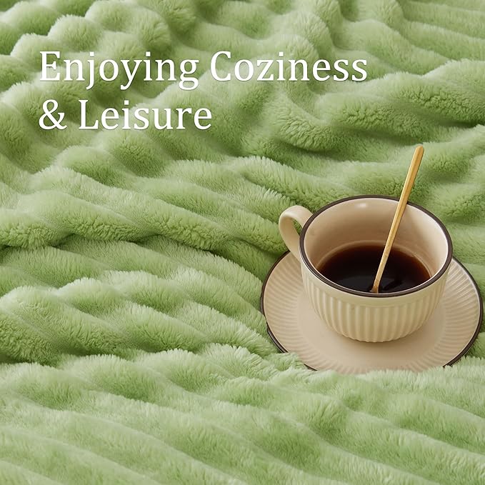 BEDELITE Twin Blanket for Couch & Bed, 300GSM Soft & Warm Fleece Blanket, Decorative and Giftable Striped Grass Green Blankets for Women, Men, 60"x80"
