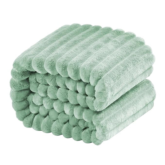 NTBAY Plush Flannel Twin Bed Blanket, 60X80 Inches Soft and Warm Lightweight Blanket with Striped Texture Bed Blanket for Couch Sofa Bed All Seasons, 60"x80", Mint