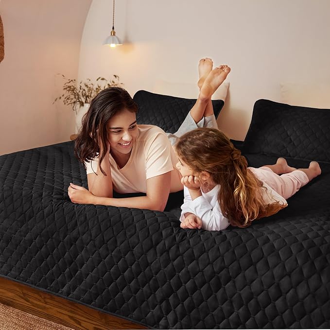 Exclusivo Mezcla Reversible Full Queen Quilt Bedding Set with Pillow Shams, Lightweight Quilts Queen Size, Soft Bedspreads Bed Coverlets for All Seasons - (Black, 90"x96")