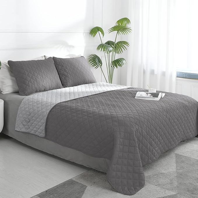 Easy-Going Queen Plus Size Reversible Quilt Set with 1 Quilt and 2 Pillow Shams, Soft Bed Quilt Cover, Water Resistant Lightweight Microfiber Bedspread, Stain Resistant, Gray/Light Gray