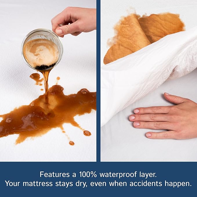 Queen Mattress Protector Bedbug Waterproof Zippered Cover - Deep Pocket Fits up to 20" Depth - Hypoallergenic Premium Quality Encasement Protects Against Dust