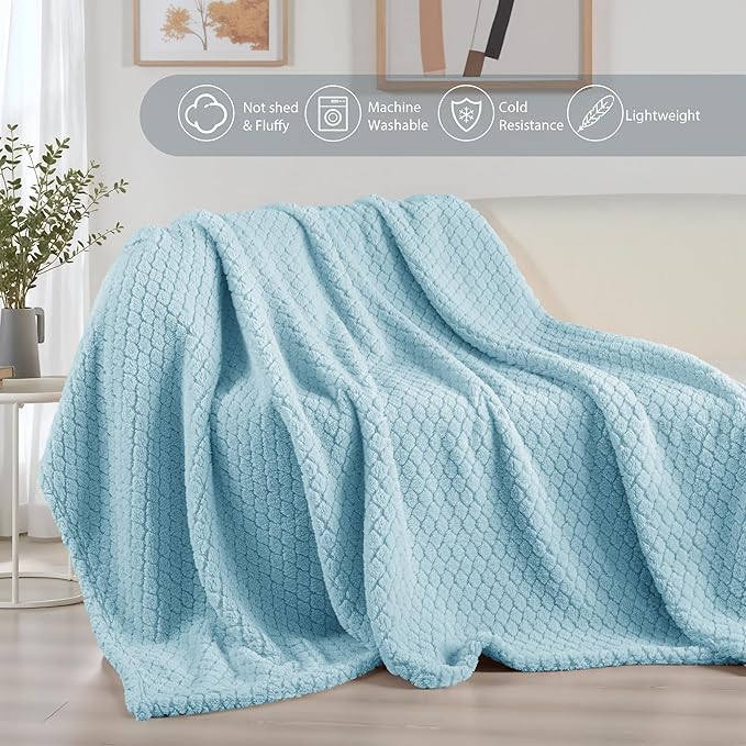 Exclusivo Mezcla Queen Size Fleece Blanket for Bed, Extra Soft Warm Decorative Fuzzy Blanket for Women, Lightweight Cozy Bedding Blankets, 90x90 Inches, Light Blue