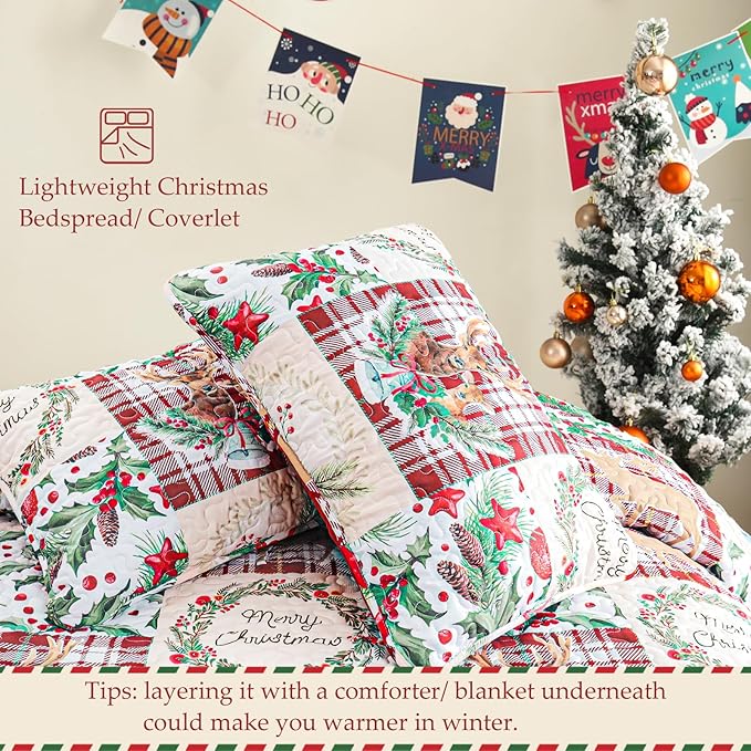 Exclusivo Mezcla Reversible Christmas Quilts Queen Size, Red Bedspread Lightweight Coverlet Winter Patchwork Quilt Bedding Set with Printed Reindeer Wreaths Pattern (1 Quilt, 2 Pillow Shams)