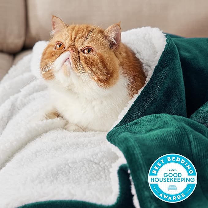 Bedsure GentleSoft Sherpa Fleece Blanket Queen Size for Bed, Non-Heated, Thick and Warm Throw for Women and Men, Soft Fuzzy Plush Queen Christmas Blanket for Winter, Forest Green, 90x90 Inches