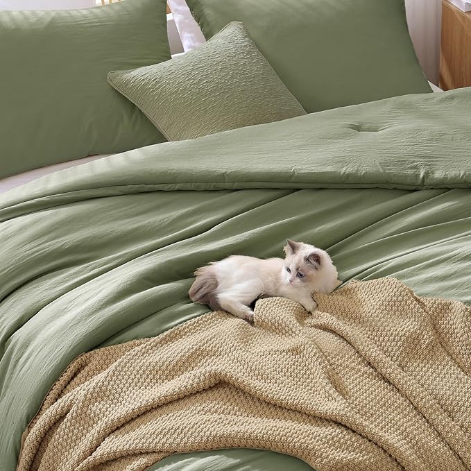 WRENSONGE Queen Comforter Set - 3 Pieces Prewashed Green Comforter Soft Lightweight for All Seasons,Down Alternative Comforters Queen Size with 2 Pillow Shams